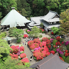 等覚院【つつじ寺 公式】
