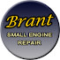 YfECSG6qgRA-channel-avatar-Brant Small Engine Repairs