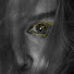 PpUxc3Y6KQU-channel-avatar-bazingonator