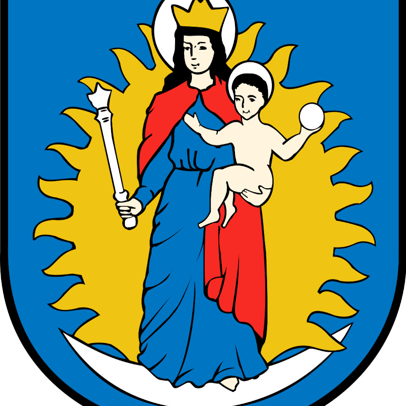 Wolsztyńskie Kamery on-line