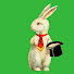 rzt_LXvHg3o-channel-avatar-Down the Rabbit Hole