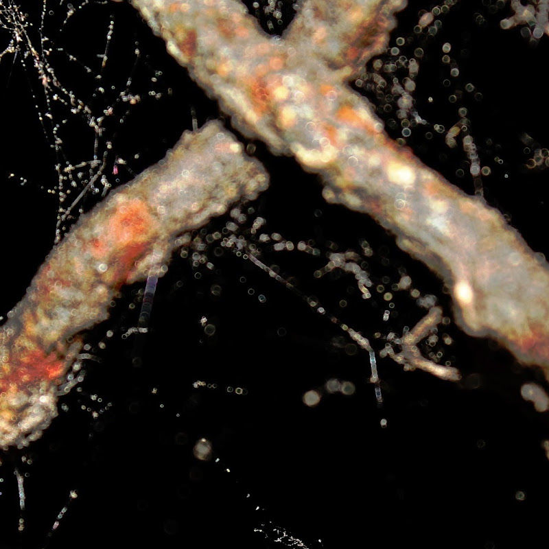 abstractions