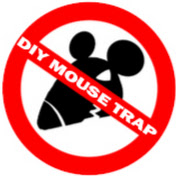DIY Mouse Trap