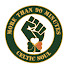VoBlet3R088-channel-avatar-Celtic Fanzine TV