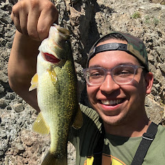 Jerk Bait Jordan