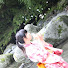 JPZuLPZj5xM-channel-avatar-saremia