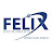 Felix Instruments