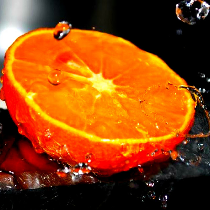 Интересные факты Logo