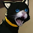 IaONwtLRloc-channel-avatar-Grac