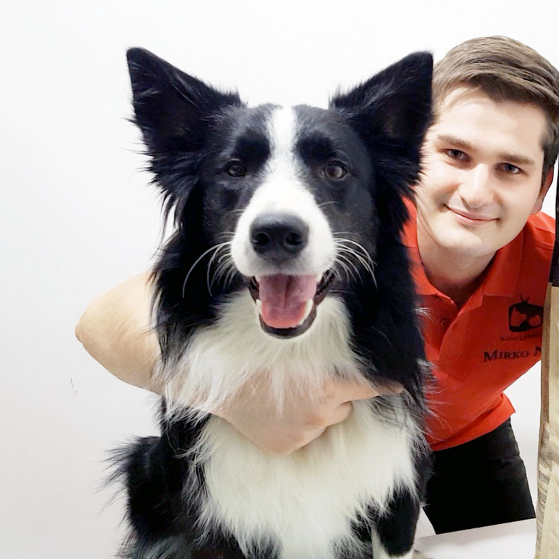 Healthy Pets (by Mirko Nuli) icon