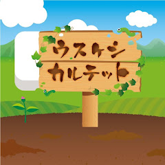 ウスケシカルテット