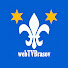 DPlTy5xyGs0-channel-avatar-webTVBrasov