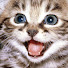 43gWsndwKkY-channel-avatar-Sofles