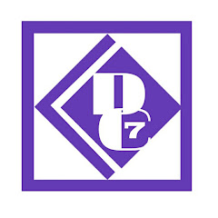 DChannel 7 channel logo