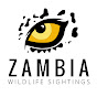 Zambia Wildlife Sightings logo