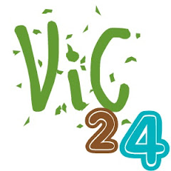 ViC24