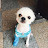 @투덜되는아이