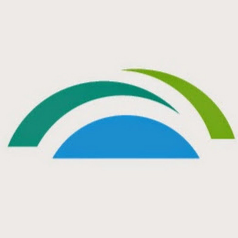 Paulson Institute