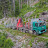 Forest Trucks