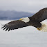 53mE586HILU-channel-avatar-Eagle Eyes