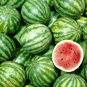 suica