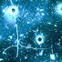 hTRVlUT665U-channel-avatar-Trev M