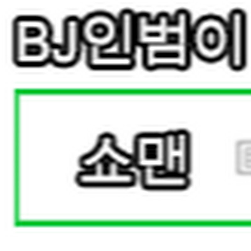리니지BJ쇼맨 인범