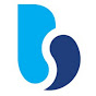 Bruce Stevenson Insurance Brokers logo