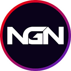 NGN net worth