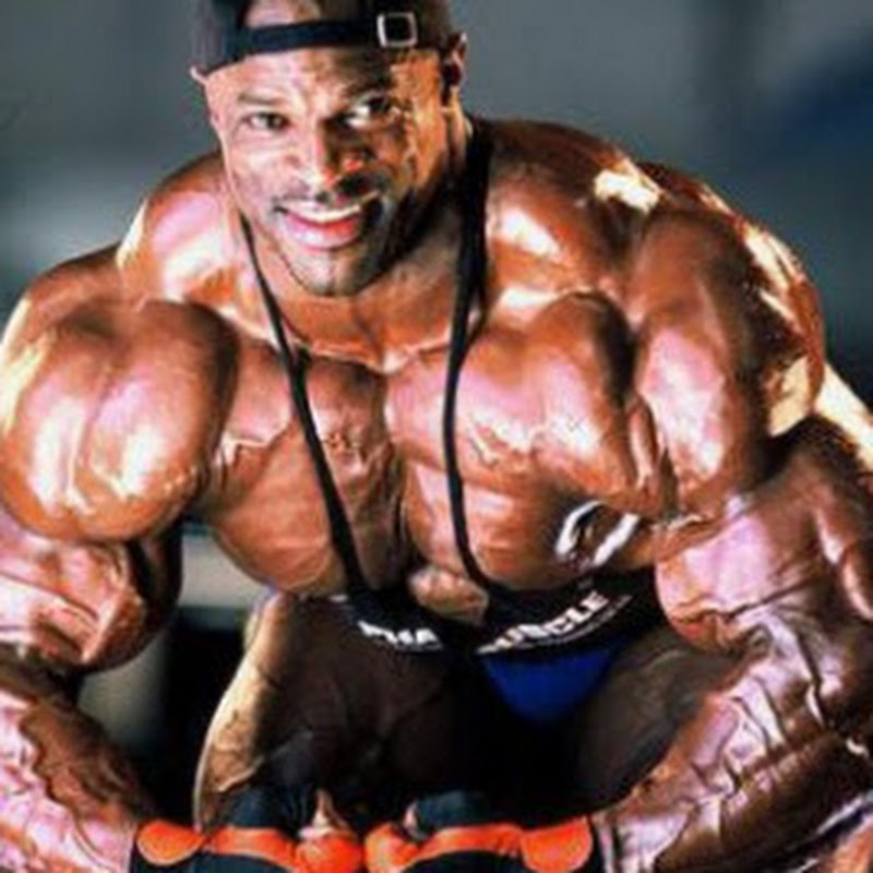 Bodybuilding Daily