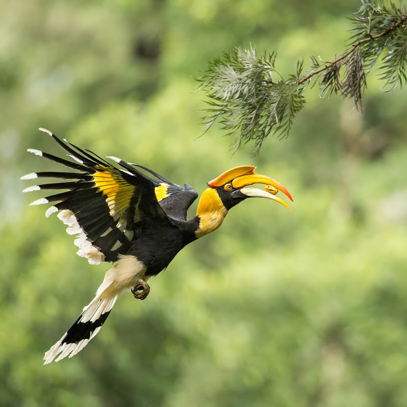 The Old Modern Songs