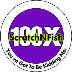 ScratchNfish net worth