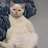 @changsoojun7698