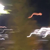 あららら君と僕の間に