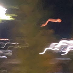 あららら君と僕の間に