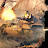 @planet-x8491