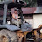 Halim Backhoe