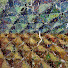 aJUNWX8njwc-channel-avatar-器用貧乏財布に五円