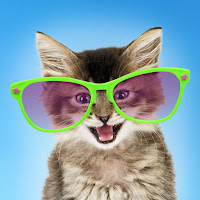 Bakchod Billa profile image