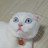 @비만고양이-d7h