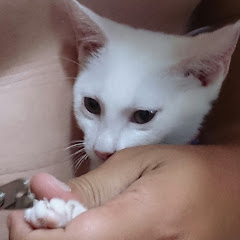 くるりや