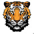 Channel Image