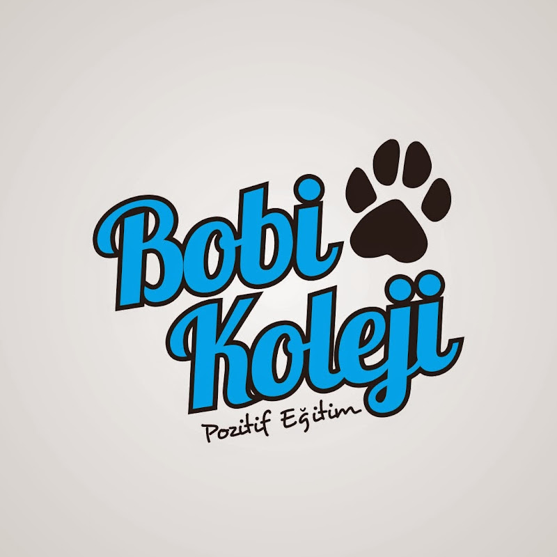 Bobi Koleji İzmir köpek eğitim merkezi