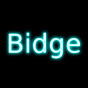 Squidgy Bidge logo
