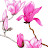 @7greentoads's avatar