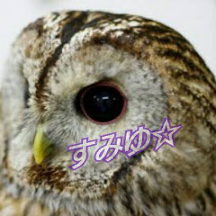 すみゆroom