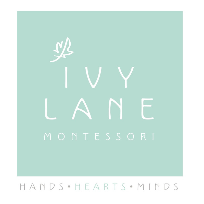 Ivy Lane