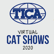 TICA Virtual Cat Shows