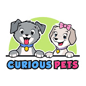 Curious Pets