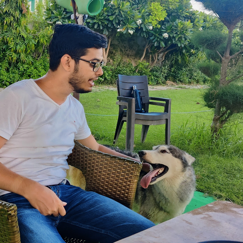 Paras Mehta icon